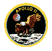 Apollo 11 Insignia